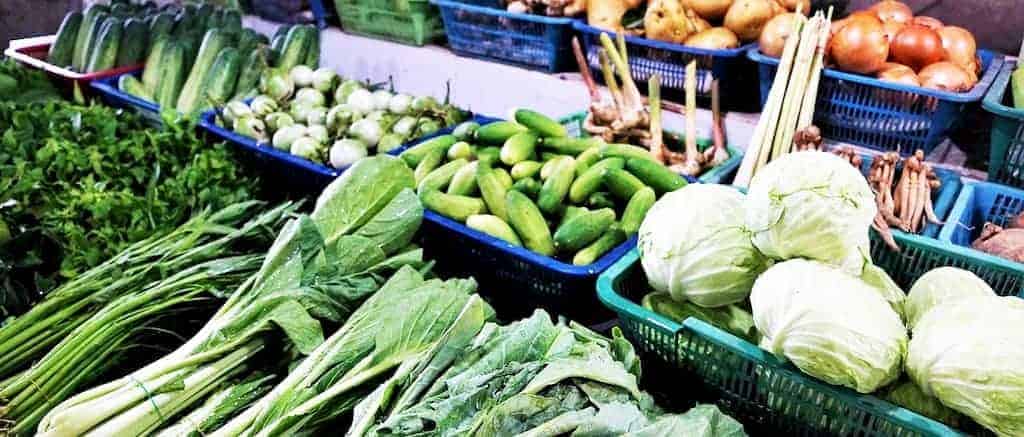 Alimentacion a base de plantas vs alimentacion vegana main