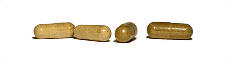 Suplementtos nutricionales a base de plantas 