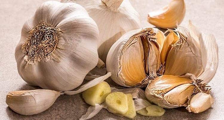 Ajo planta medicinal