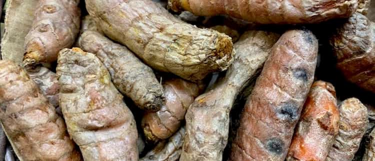 Curcuma alimentos digestivos