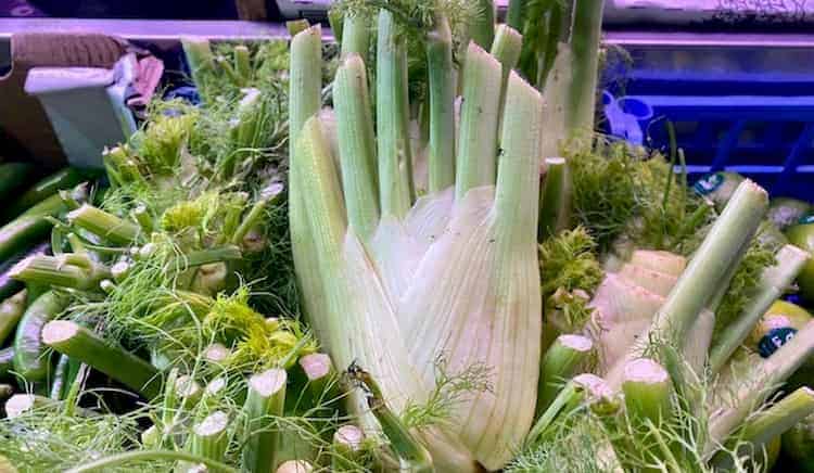 Hinojo como alimento digestivo