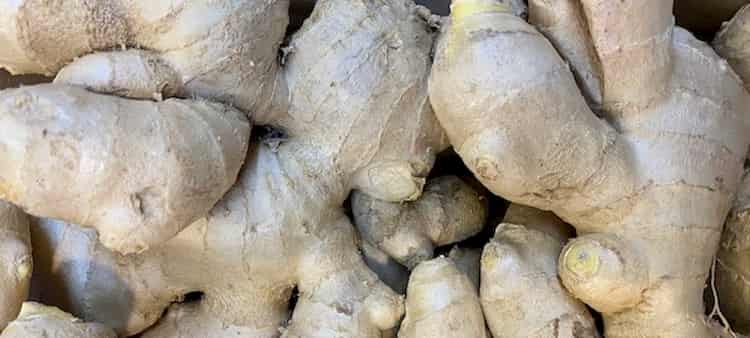 Jengibre un digestivo natural