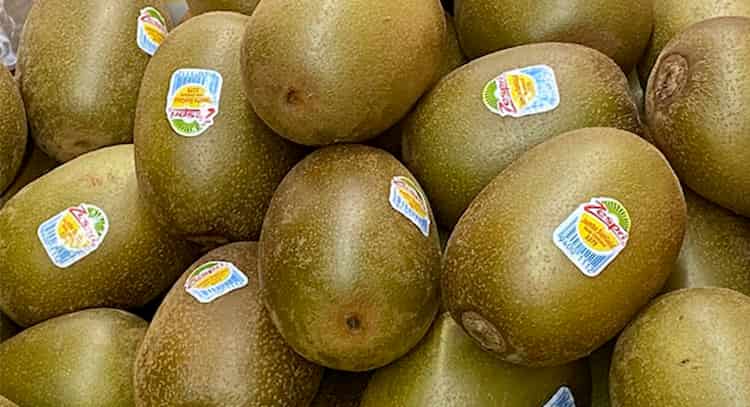 Kiwi Ayuda a la mejor digestión