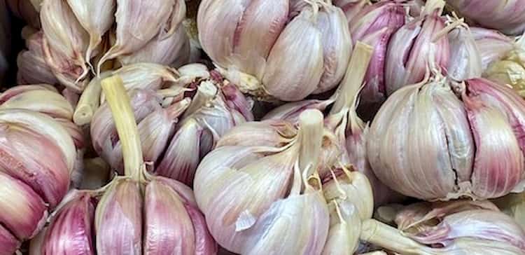 ajos que mejora la digestión