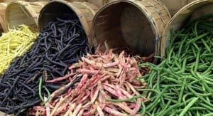 Día mundial de las legumbres