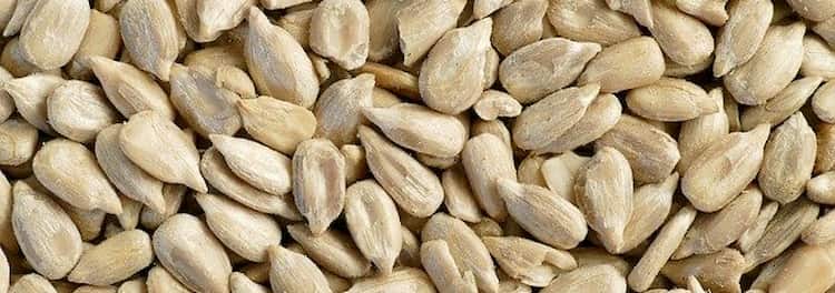 Semillas de girasol ricas en grasas saludables-2