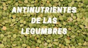 Antinutrientes de las legumbres