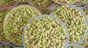 Nutrientes de las legumbres