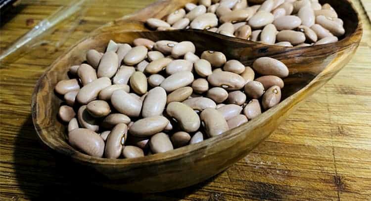 antinutrientes de las legumbres 2