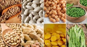 tipos de legumbres