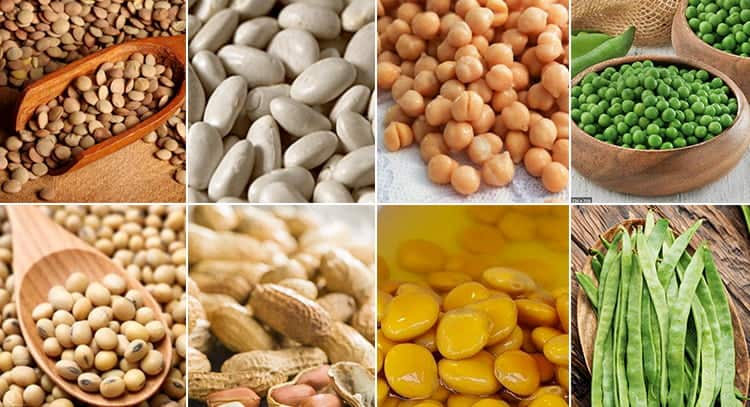 tipos de legumbres