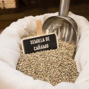 Semillas de cañamo